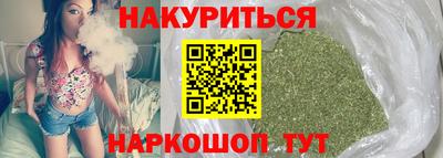 гидра Нальчик