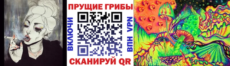 Галлюциногенные грибы Psilocybe  Шебекино 