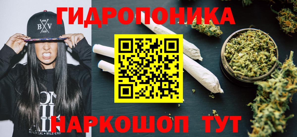 Шебекино  Бошки марихуана индика  Вход с VPN  МАРИХУАНА сатива 